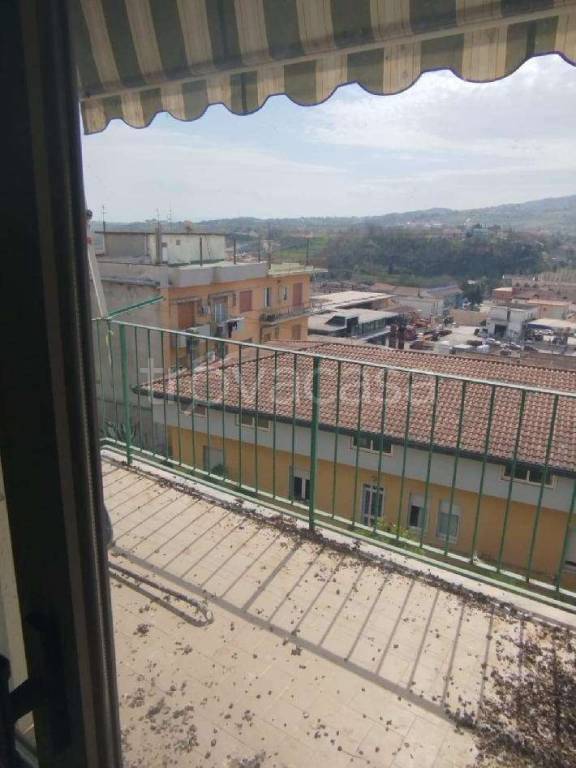 immagine annuncio 9 di 12