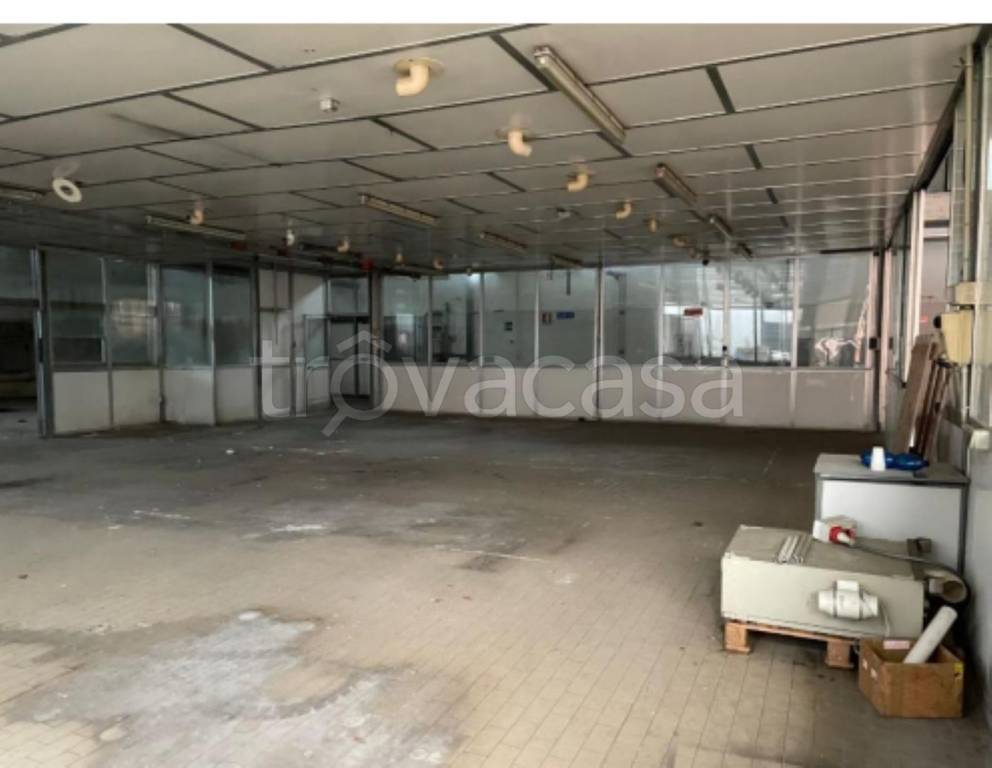 immagine annuncio 5 di 11