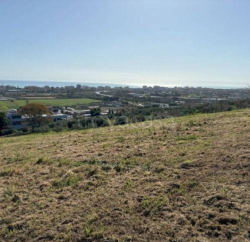 immagine annuncio 1 di 6