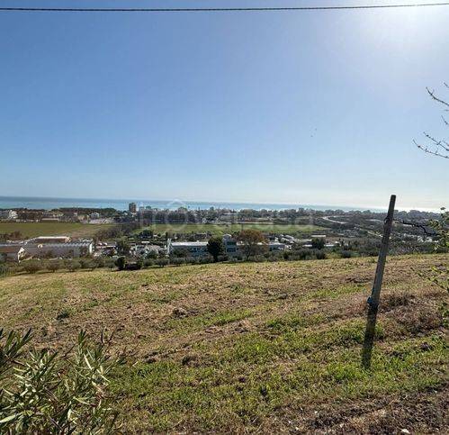 immagine annuncio 2 di 6