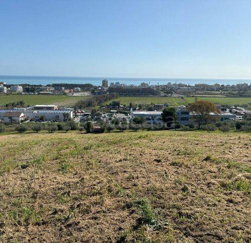 immagine annuncio 5 di 6