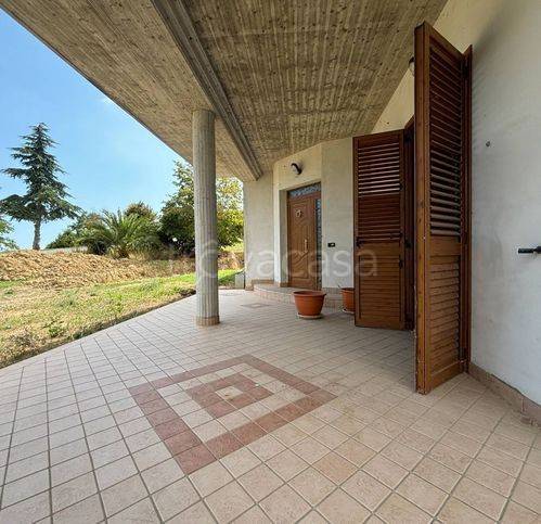 immagine annuncio 6 di 14