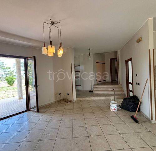 immagine annuncio 8 di 14