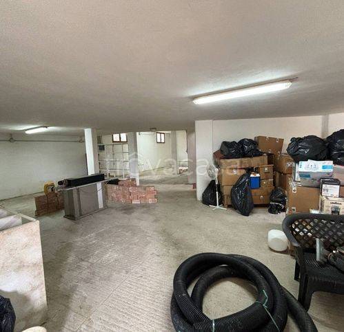 immagine annuncio 11 di 14