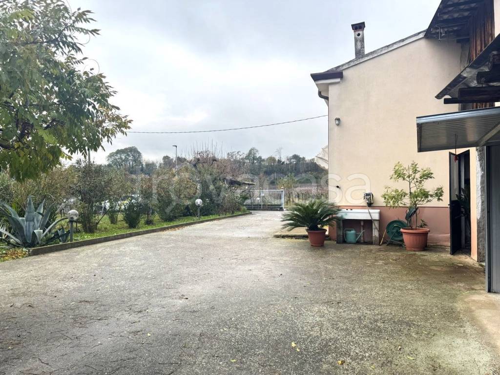 immagine annuncio 3 di 14