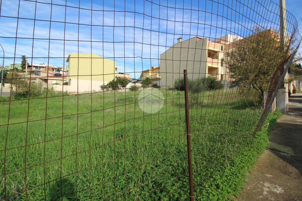 immagine annuncio 5 di 12