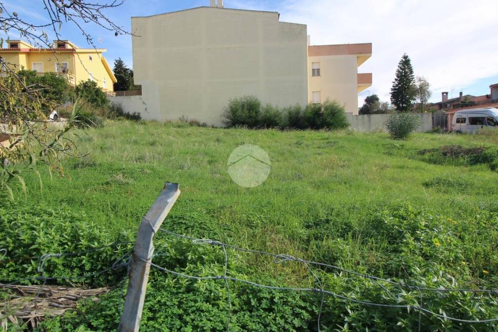 immagine annuncio 9 di 12