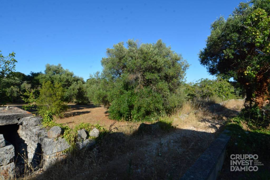 immagine annuncio 5 di 6