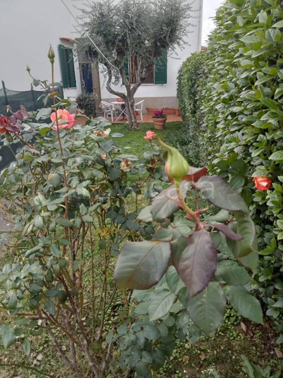 immagine annuncio 5 di 6