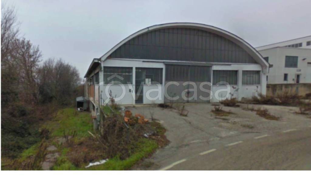 immagine annuncio 2 di 12