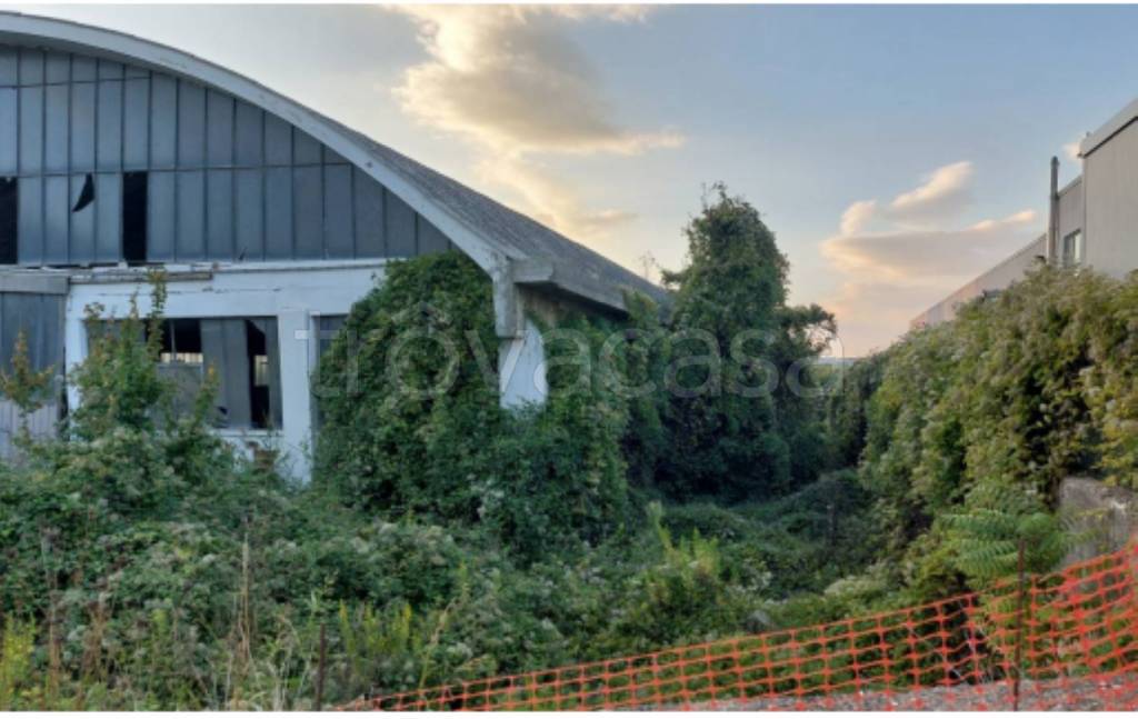 immagine annuncio 3 di 12