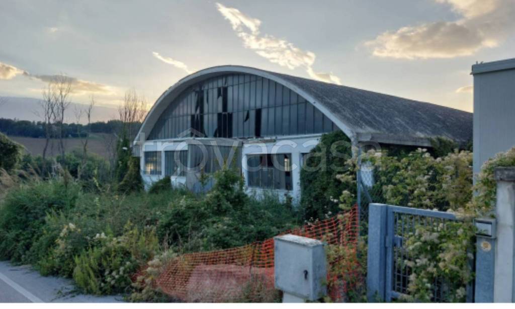 immagine annuncio 6 di 12