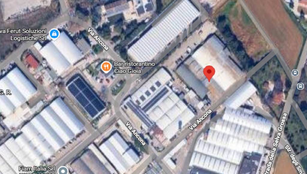 immagine annuncio 9 di 12