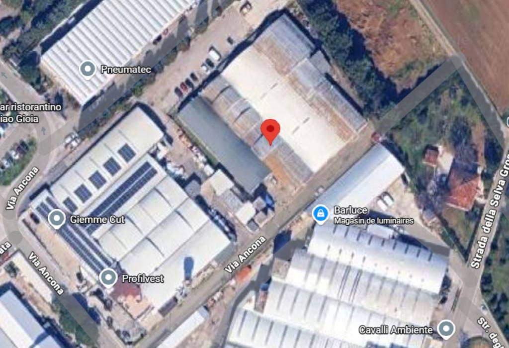 immagine annuncio 11 di 12