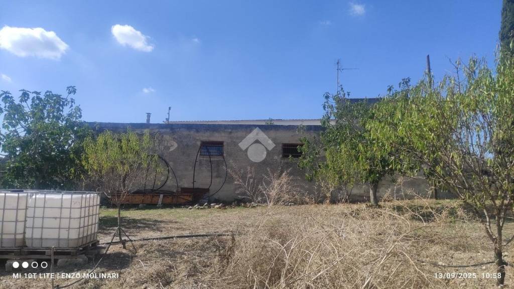 immagine annuncio 1 di 6