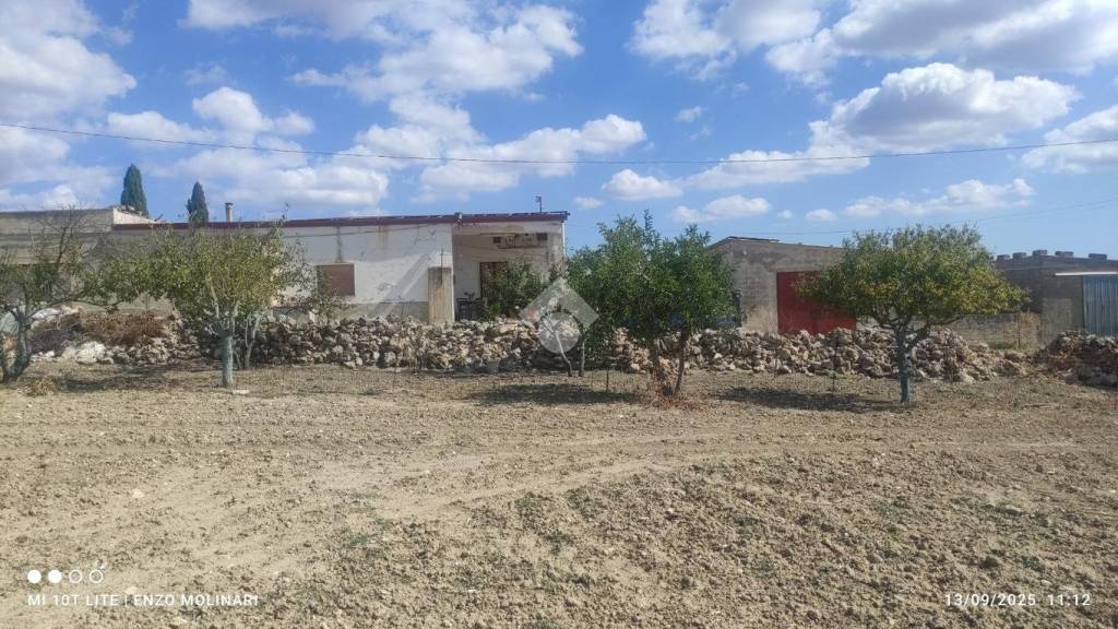 immagine annuncio 2 di 6