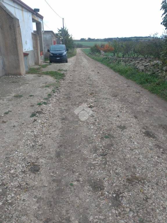 immagine annuncio 4 di 6