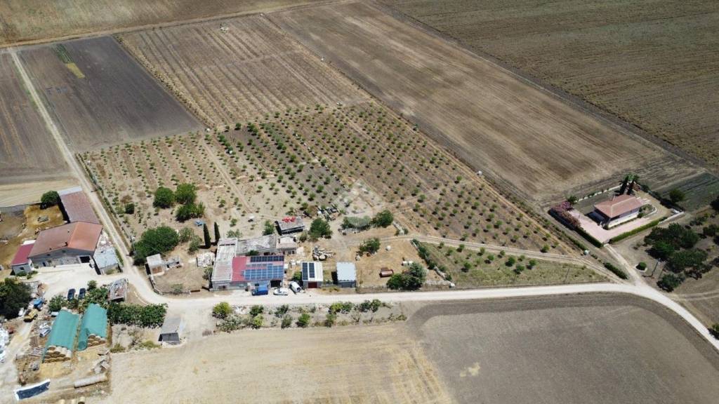 immagine annuncio 5 di 6