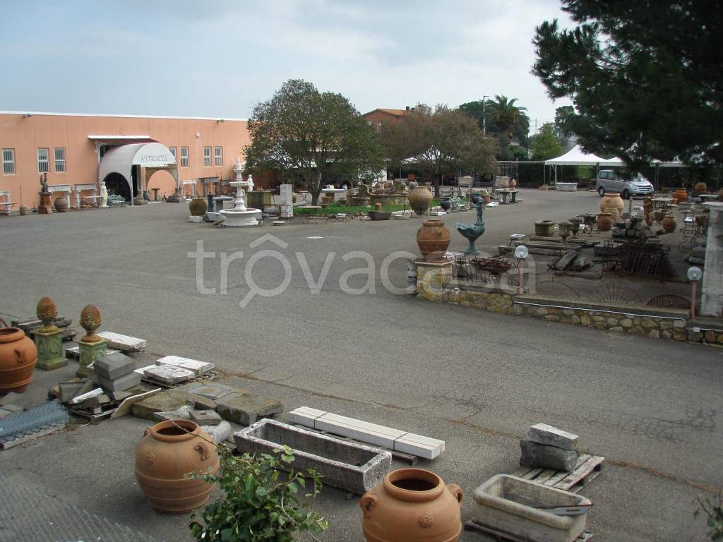 immagine annuncio 2 di 8