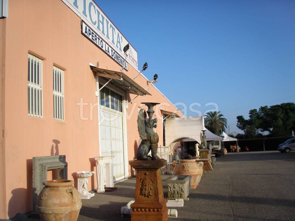 immagine annuncio 4 di 8