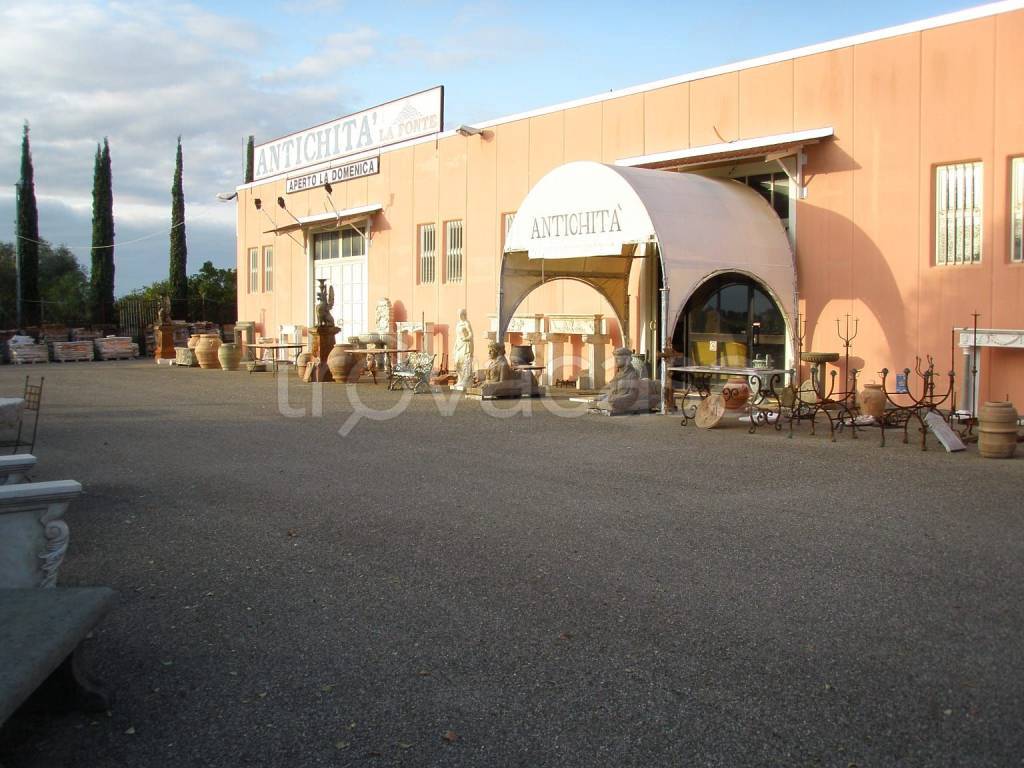 immagine annuncio 5 di 8