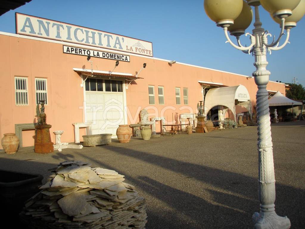 immagine annuncio 6 di 8