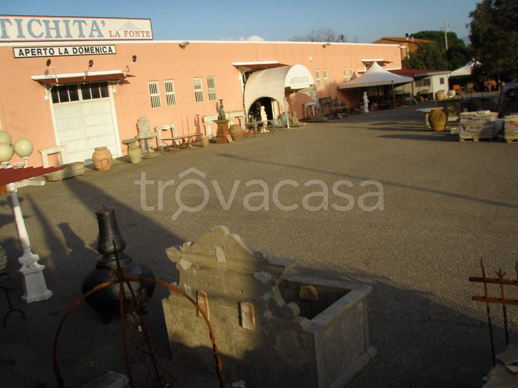 immagine annuncio 7 di 8