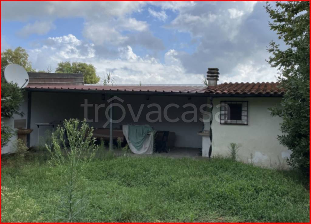 immagine annuncio 5 di 13