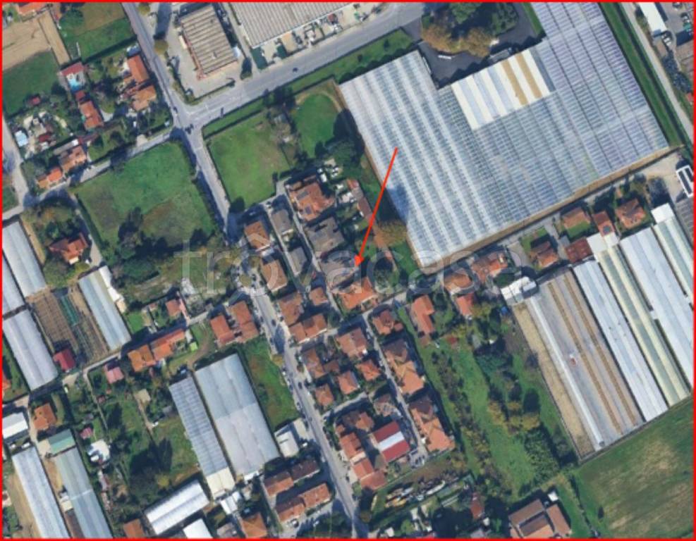 immagine annuncio 12 di 13