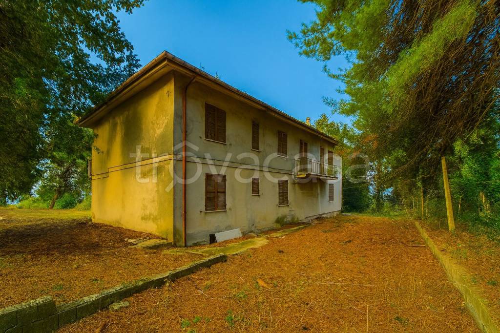 immagine annuncio 8 di 12