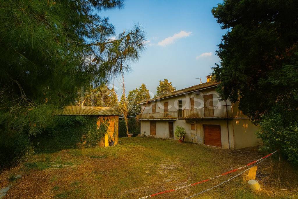 immagine annuncio 10 di 12