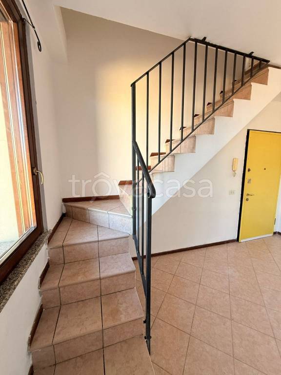 immagine annuncio 4 di 14