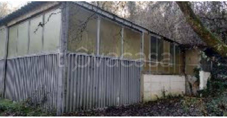 immagine annuncio 2 di 7