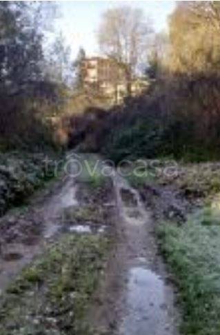 immagine annuncio 4 di 7