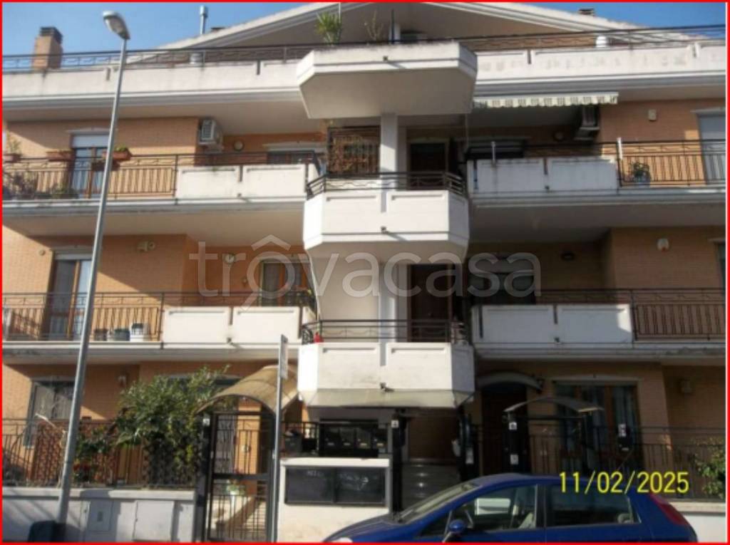 immagine annuncio 1 di 12