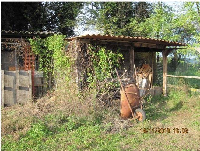 immagine annuncio 4 di 9