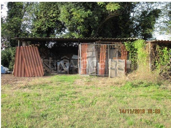 immagine annuncio 5 di 9