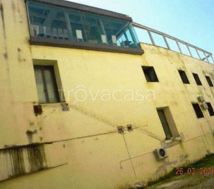 immagine annuncio 8 di 12