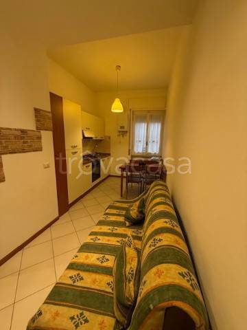 immagine annuncio 5 di 14