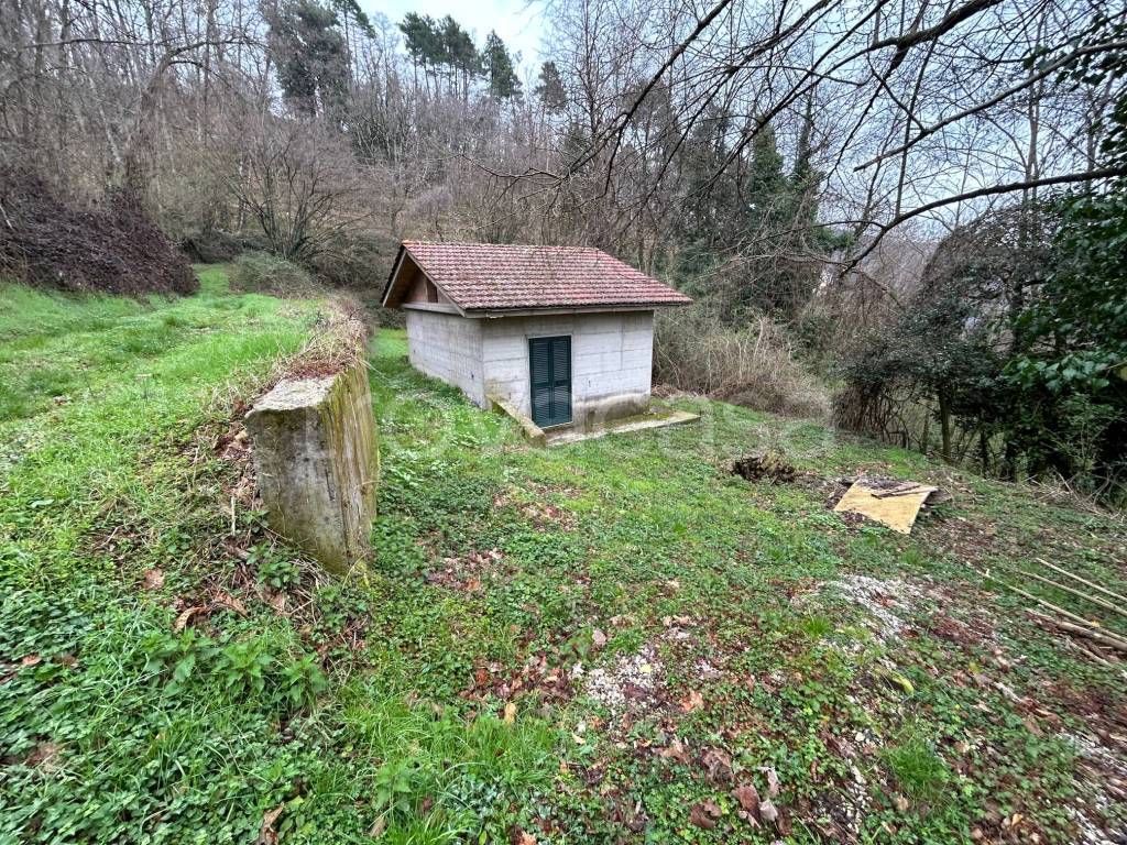 immagine annuncio 2 di 10