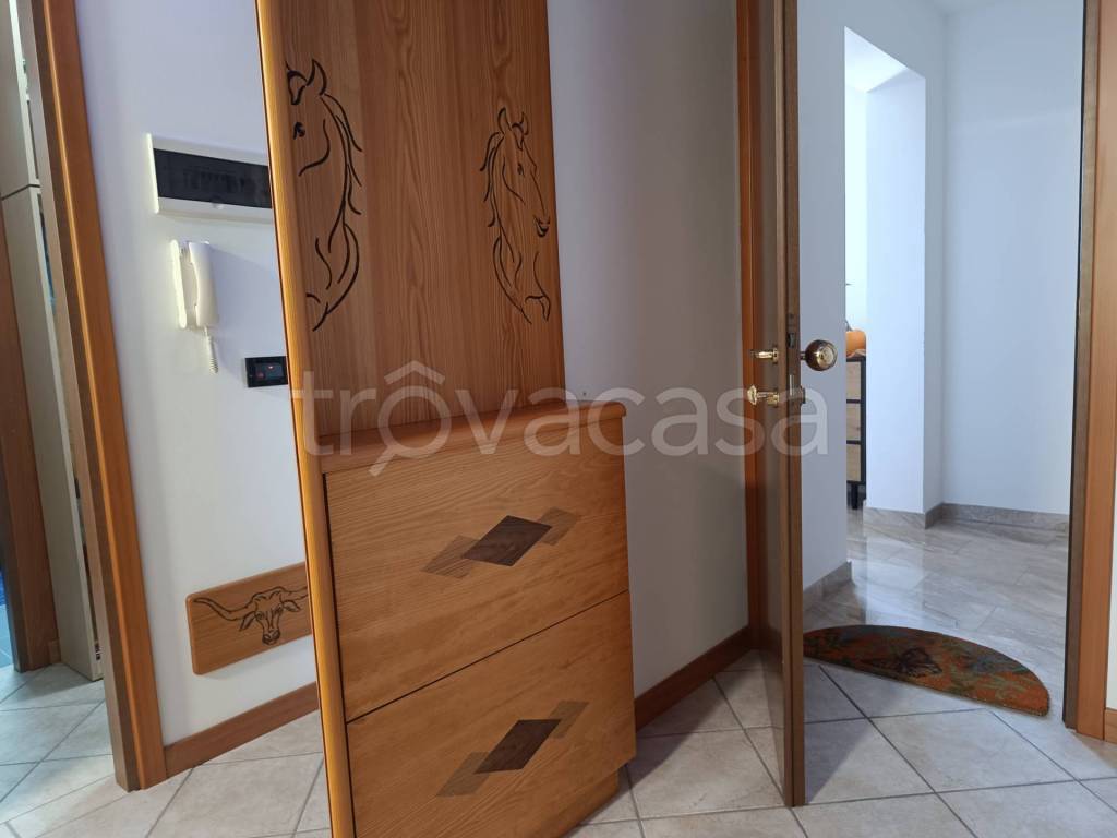 immagine annuncio 3 di 14