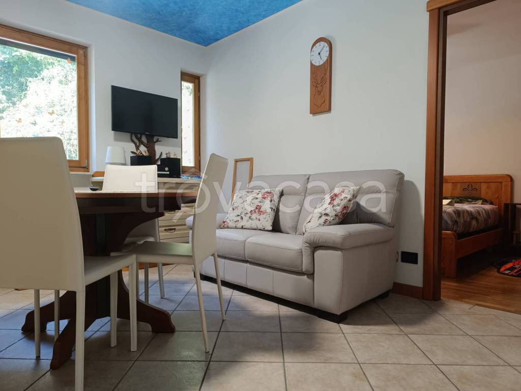 immagine annuncio 4 di 14