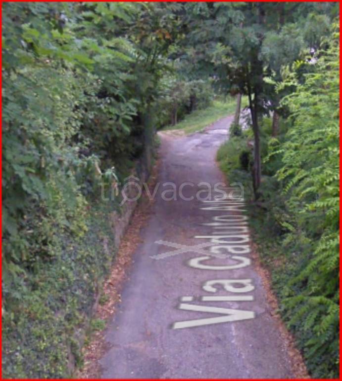 immagine annuncio 8 di 12