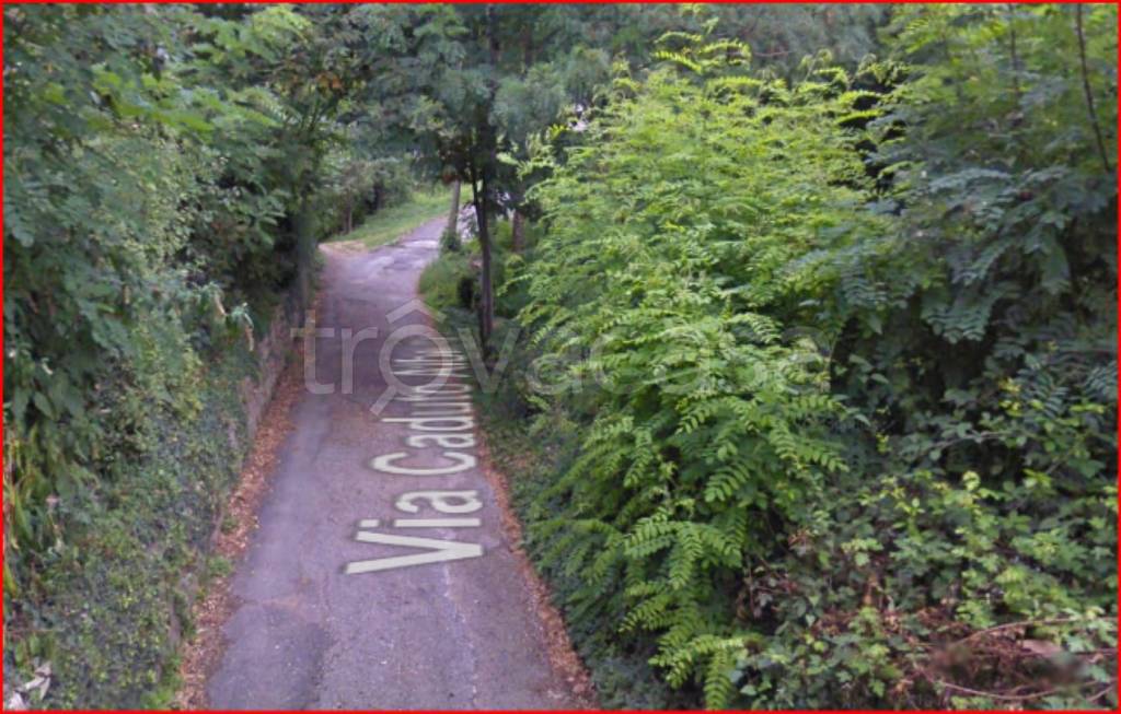 immagine annuncio 9 di 12