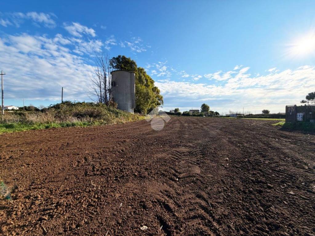 immagine annuncio 3 di 12