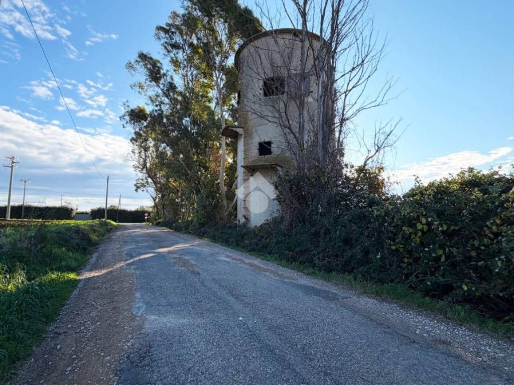 immagine annuncio 6 di 12