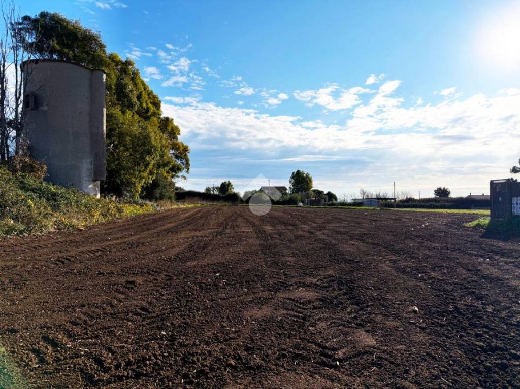 immagine annuncio 7 di 12