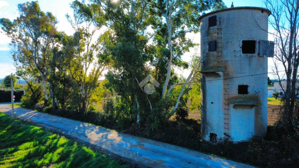 immagine annuncio 9 di 12