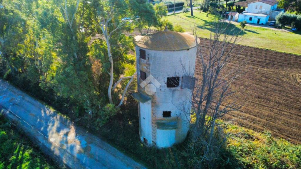 immagine annuncio 11 di 12