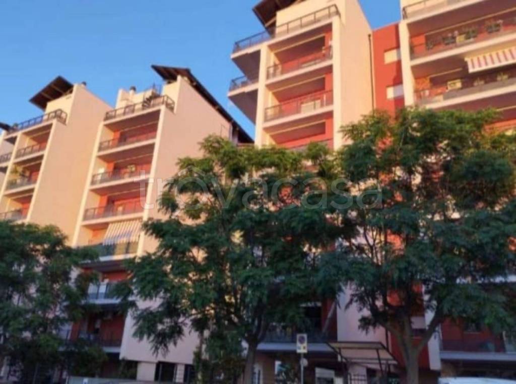 immagine annuncio 8 di 12